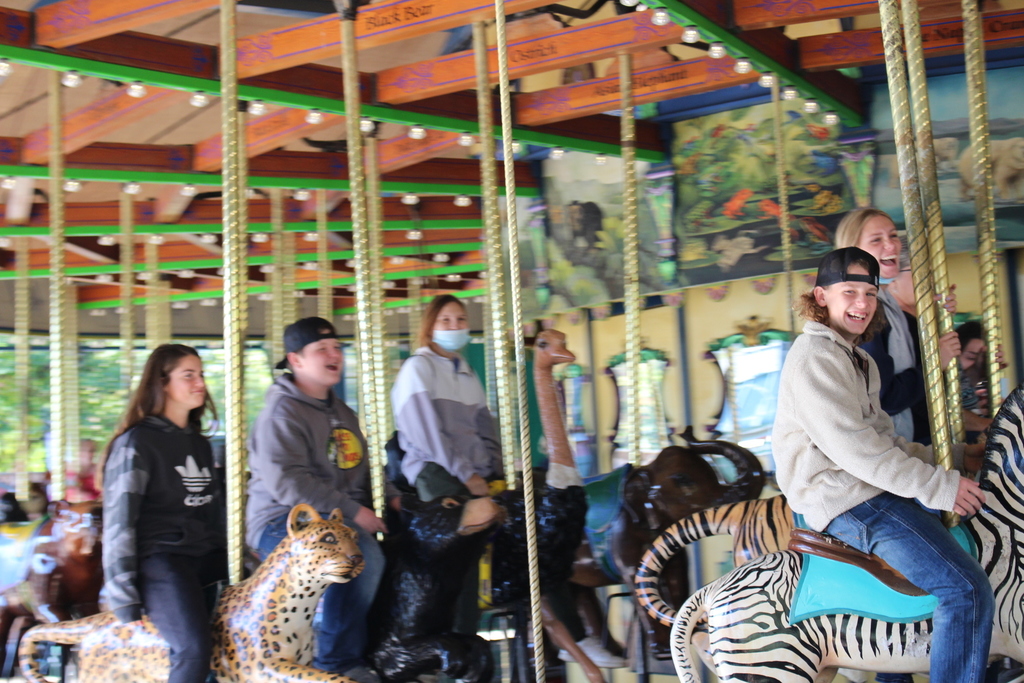 Carousel at the Zoo